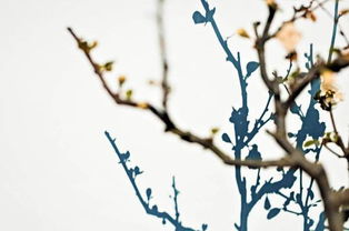 沐風(fēng)蘭桂 在范瑋琪MV中邂逅暖心民宿與地道美食