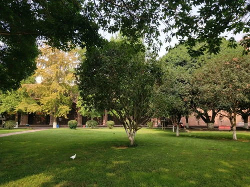 沐風(fēng)蘭桂 用眼睛來聞的香氛推送